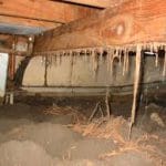 Sand to Wood Damage — Pest Experts in Torquay Hervey Bay, QLD