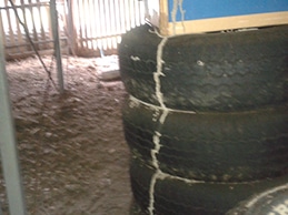 Bridge on Tires by Termites — Pest Experts in Torquay Hervey Bay, QLD