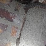 Termite Leed — Pest Experts in Torquay Hervey Bay, QLD