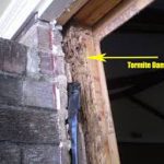 Wood Termite Damage — Pest Experts in Torquay Hervey Bay, QLD